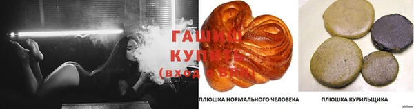мяу мяу мука Баксан