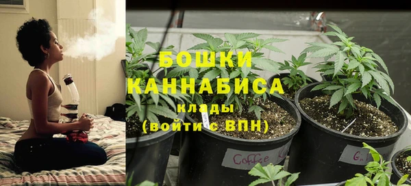 мяу мяу мука Баксан