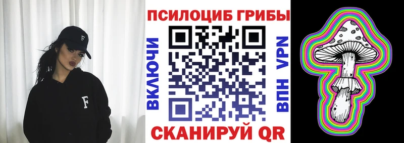 где можно купить наркотик  Урус-Мартан  Псилоцибиновые грибы Psilocybine cubensis 